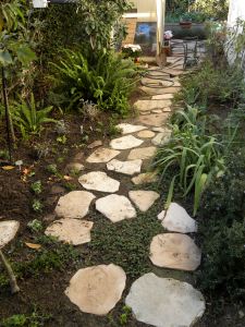 revamped pathway
