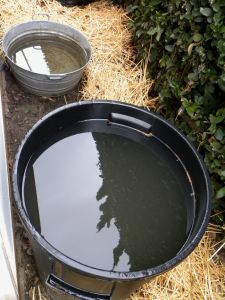 garden 028 water barrels