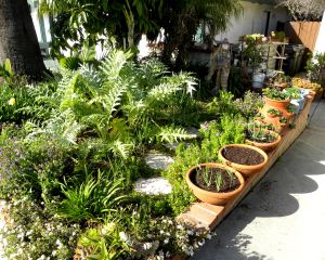 010 garden of perpetual responsibility