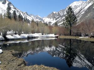 111 pond at Glacier Lodge