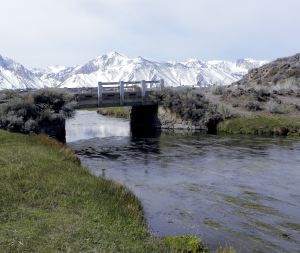 266 bridge over creek