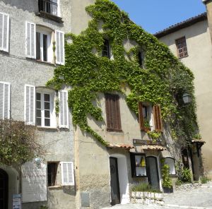 France 087 green wall