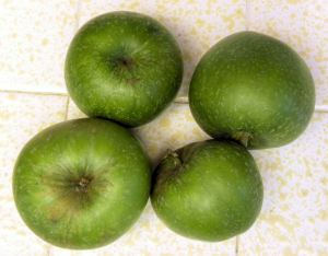 2010-08-26 014 Granny Smith apples
