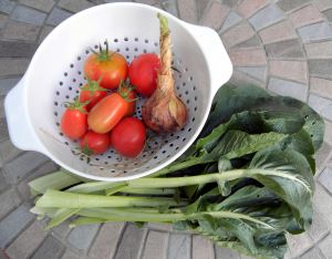 2010-08-26 017 harvest