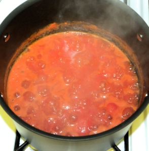 2010-08-26 027 tomato sauce