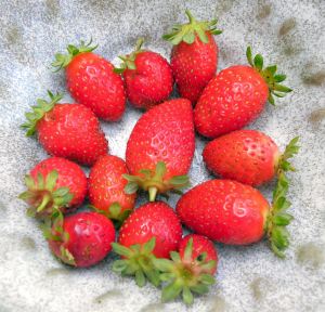 2010-08-29 011 strawberries