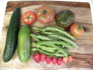 2010-09-04 garden 003