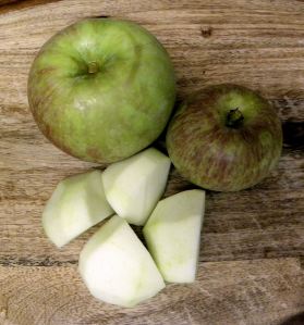2010-09-13 004 fuji apples