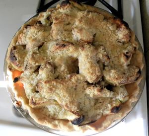 2010-09-13 031 apple pie