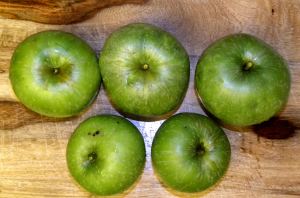 2010-09-17 026 apples