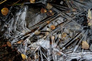 img_0341 ice crystals