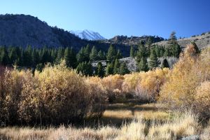 img_0500 june lake loop