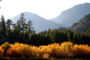 img_0508 june lake loop