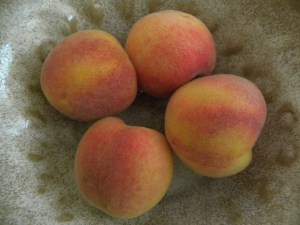 2011-07-04 garden, 4th of July 003