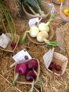 2011-07-18 105 onions