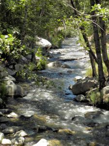 2011-08-05 027 Santa Ana River