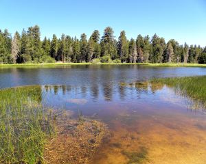 2011-08-05 139 Bluff Lake
