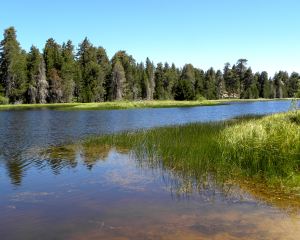 2011-08-05 146 Bluff Lake