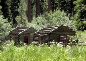 2011-08-05 219 log cabins