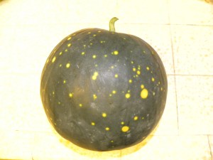 2011-10-08 produce 003