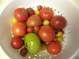 2011-10-08 produce 005