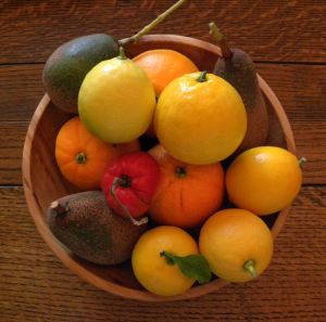 2012-01-09 058 citrus and avocados