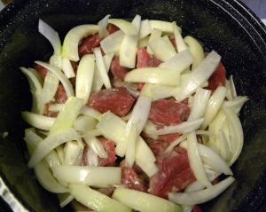 2012-03-14 005 beef and onions