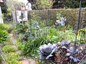 2012-03-20 042 March garden