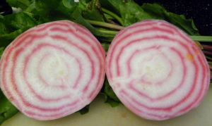 2012-05-26 004 Chioggia beets