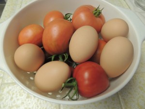 tomatoes and eggs