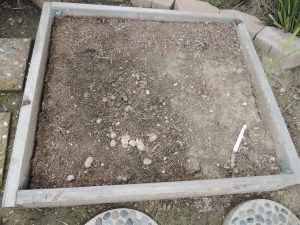 Oh, ICK! The neighborhood cats use my small raised bed as their litter box.