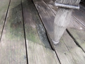 A leaking patio pond rotted a few boards too.