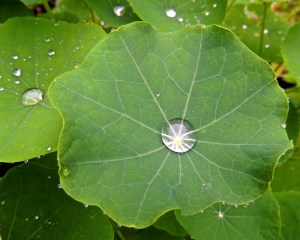 Last one I'm going to show. I had more.