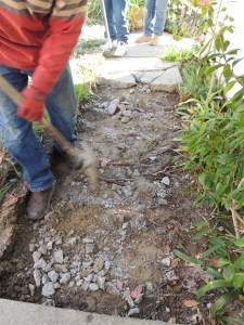 Remember the raised sidewalk I showed in the last post? It's gone! I was worried that someone would trip over it.
