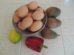 I am down to the last few avocados. Incredibly enough, we are still harvesting a bell pepper or two as well. And the hens are inundating us with eggs, up to 28 a week!