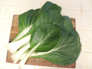 We are being inundated with bok choy. I planted a six-pack of Joi Choi and it is rewarding us with bountiful greens.