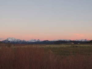 We gathered at the Little Green Church south of Mammoth Lakes early Sunday morning to caravan to the sage grouse lek.