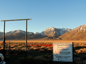 A series of forks and turns on dirt roads took us to the entry gate to the lek area.