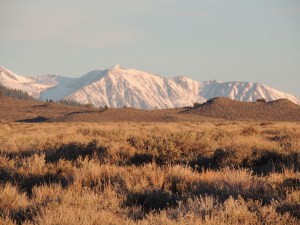 These sagebrush flats are part of the Great Basin sagebrush habitat.