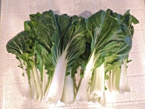 bok choy
