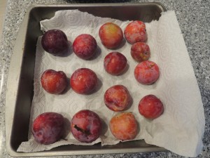 Santa Rosa Plums