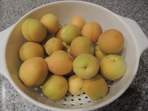 Apricots