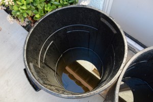 The quarter of an inch of rain that fell last night resulted in about 4-5 inches of water in these barrels.