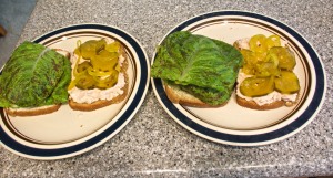 Lunch one day was tuna salad sandwiches, with Freckles romaine lettuce from the garden and sweet pickles that I canned from last summer's garden.