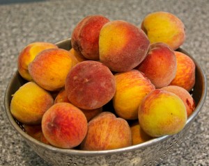 Our Florida Prince peach has decided to ripen all of its fruit at once. This is one container of three that I picked.
