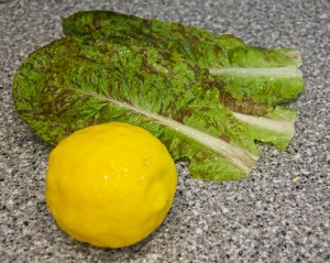 We harvested oranges, lemons and limes this week, plus lettuce and artichokes, but this is all that made it in front of the camera for a portrait.