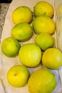 We are getting a lot of limes, and have given some away and donated some to our local food bank. The lime harvest is finally slowing down. I hope.