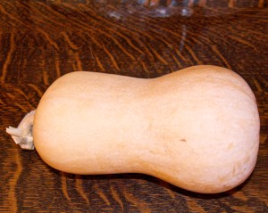This is our last butternut from the fall harvest of 2014. They stored very well, with no rotting this year.