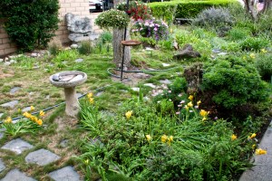 Here is a different view of the front yard. Because the house sparrows have been eating my vegetable garden, I have replaced the bird feeders with baskets of flowers for pollinators. The bees LOVE those flower baskets.