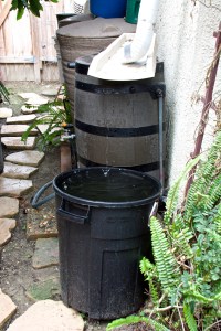 This is our main rainwater collection area--three rain barrels under a downspout plus an over-flow barrel.